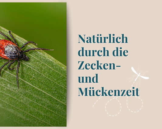 Natürliche Insektenabwehr mit ätherischen Ölen – Hilfe gegen Mücken & Zecken